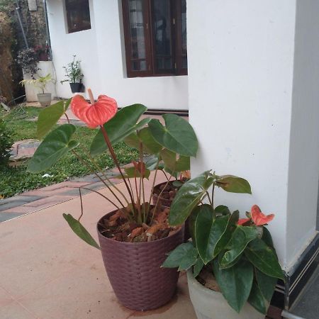 Holly House Homestay Елла Екстер'єр фото