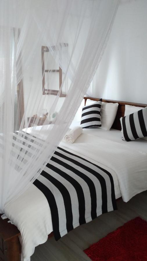 Holly House Homestay Елла Екстер'єр фото